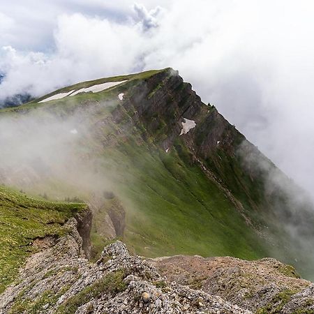Gruenes Allgaeu Simon Held Opfenbach Bagian luar foto
