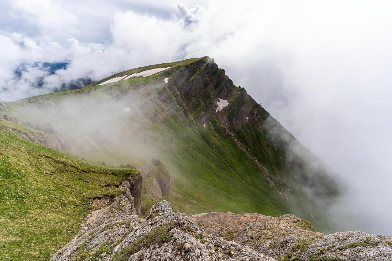 Gruenes Allgaeu Simon Held Opfenbach Bagian luar foto